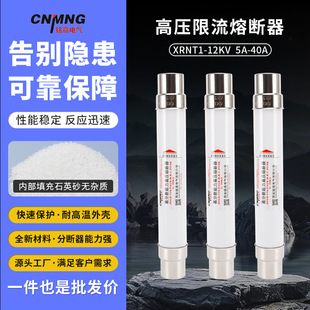 12KV high voltage fuse XRNT1-12KV/3.15 A- 40A high breaking capacity fuse fuse fuse tube fuse tube