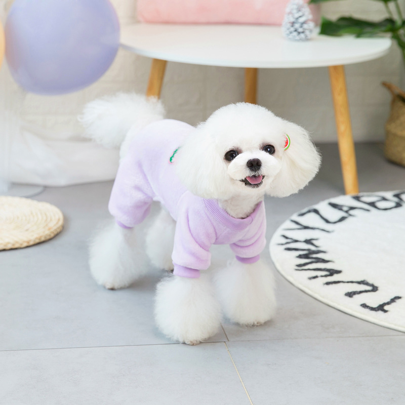 Ropa para perros ropa nueva ropa de terciopelo ropa para mascotas de peluche ropa de terciopelo de cuatro patas Otoño e Invierno 21 fruta ropa de terciopelo de cuatro patas