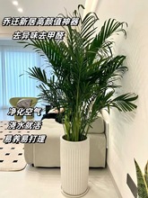 FҬӴ;Gֲ҃ȿ͏dkҺBֲļȩw