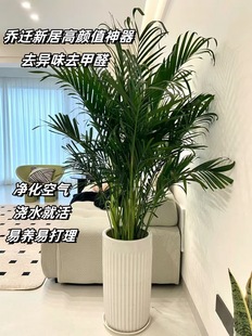 FҬӴ;Gֲ҃ȿ͏dkҺBֲļȩw