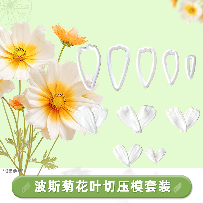 仿真波斯菊双面切压模全套银叶菊矢车菊花瓣叶子纹路切压模套装