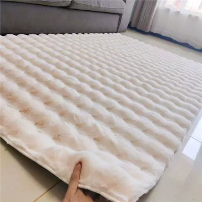 Car Carpet Ins Cream Style Scandinavian Plush