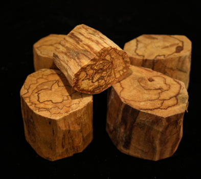 微信图片_20230906200944