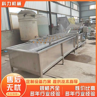 全自动气泡清洗机 果蔬清洗机大产量 山野菜雪菜气泡清洗机
