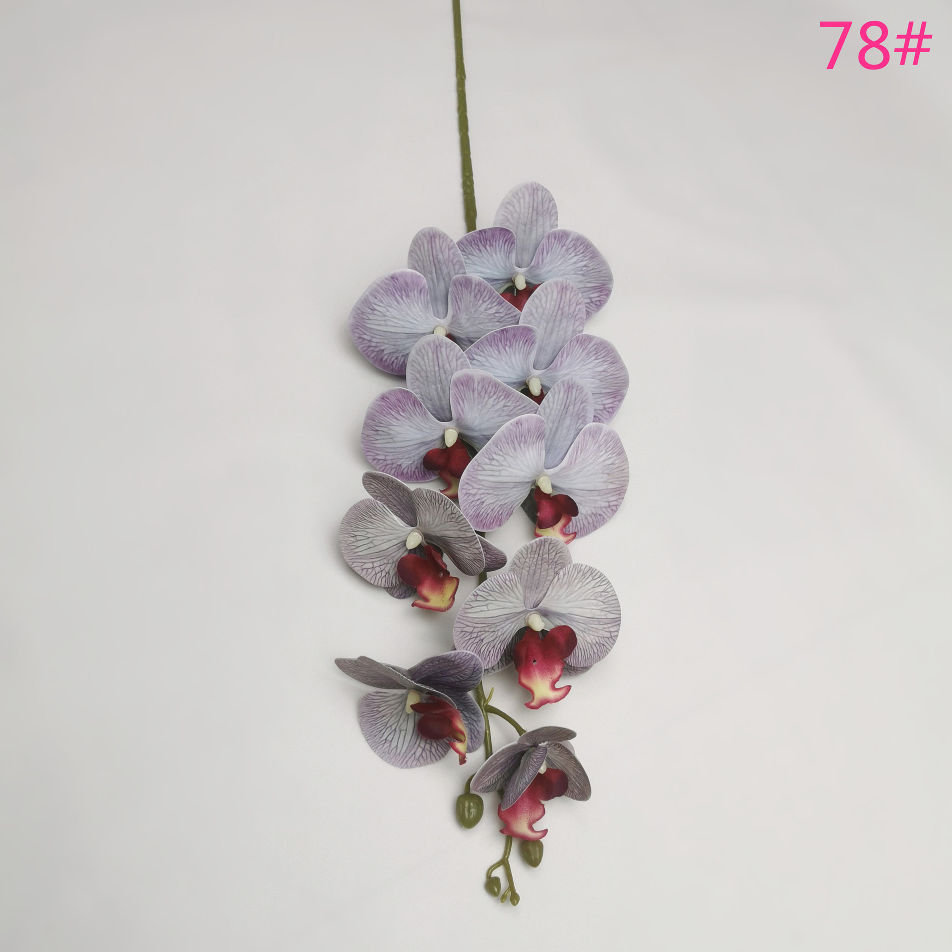 IMG_20220607_182435_副本