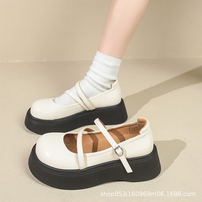 2025022409159819637474w800h800