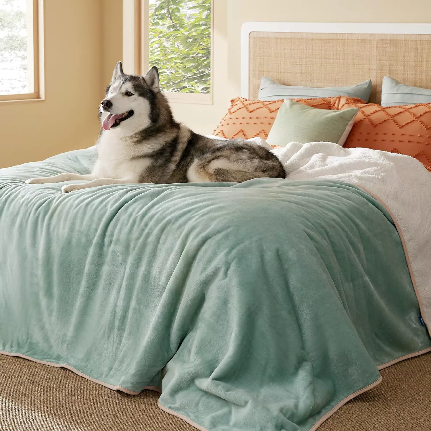 Одеяло для собак