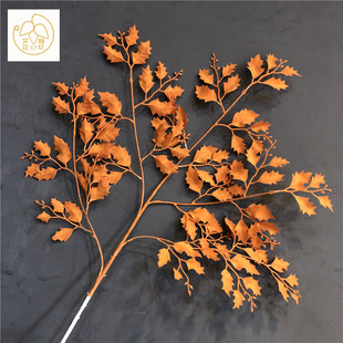 ���晵���~ ����~ �����}�Q�~������c��ɫ�廨�b��X�~��Y��