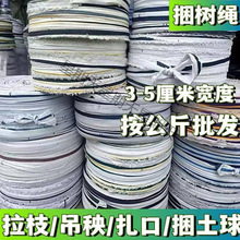 BZY.���L���Ĳ��l�K�������K�⎧�����������������ڴ�������֦�u