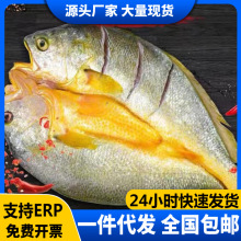 �S�~�����r������S�~�S���~��ȥ���r����С�S�~���r�~��~����