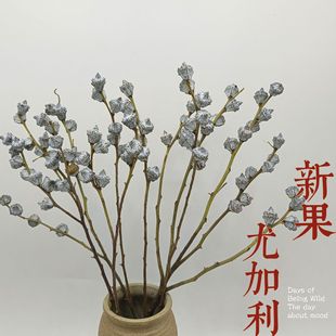 �ȼ������ɻ��ȼ���С�����ɭϵ��Ȼ�ɻ��滨��֦�����Ҿ��b�