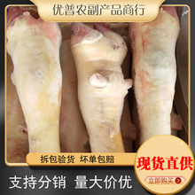 牛蹄切块牛脚块黄牛蹄子冷冻带骨火烧去毛牛蹄掌蹄花生鲜食材批发