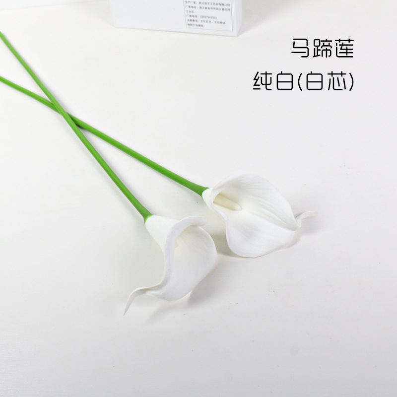 칼라 릴리-퓨어 화이트(화이트 코어)