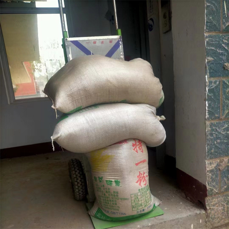 成德 重物上楼爬楼机 代步爬楼机 货物电动爬楼机器