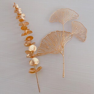 ����호�Ͱ�A���X��Ԫ�����Ǵ���������w�Y��鷿����Ͱ�lؔ��