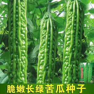 �L�G��ϷN�Ӵ����ϾG�����ϷN��ͥԺ�̨�����߲˷N��