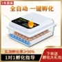家用自动智能芦丁孵蛋器