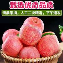洛川紅富士脆甜糖心新鮮3/5/10斤水果廠家批發速賣通跨境獨立站