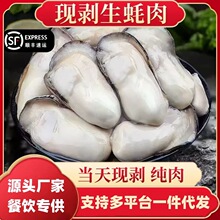 生蚝肉现剥冻海蛎子海牡蛎肉去壳冷冻大号海鲜商用批发蛤蜊扇贝