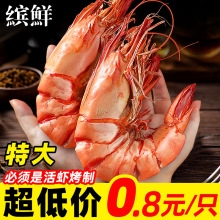 九节虾干即食烤虾干开袋即食大虾对虾斑节海鲜干货孕妇补钙零食A1