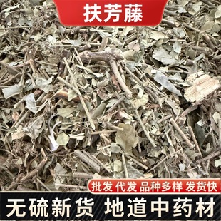 ��������ș�� ����� ������ ǧ���� ���N�䱳���l���l