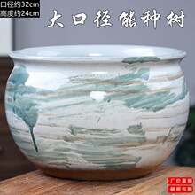 �ش�ڏ����⻨���մɲ軨Ⱥ������Gֲ���̨������ɰ͸���辰��