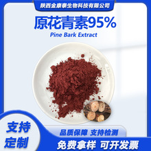 ԭ������95%OPC�ɘ�Ƥ��ԴProanthocyanidins�ɘ�Ƥˮ��ԭ������