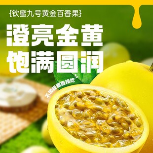 �V�����ښJ��9̖�S�������r���ԷN���r�����֭