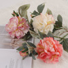European and American Mei Mei 2 heads of peony simulation flowers wholesale home ornaments palace peony fake flower wedding photography decoration