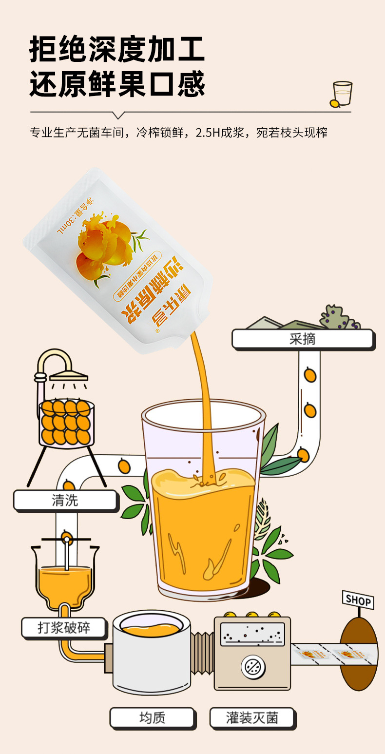 Sea Buckthorn Juice Puree Fresh Pressed Sour Berry Drink 30ml x 10 Sachets quality and texture