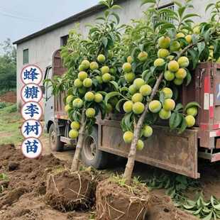 ���ڷ������Ә����ش������ͺ�����ϱ����Nֲ���Ե��Ԯ���Y����