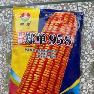 500������958���׷N�� �s���������� Ӳ�����u�i������׷N�����l