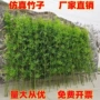 客厅室内外景观植物仿真竹