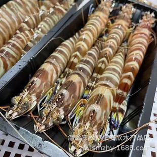 �߹��r����̖�Ź��r�������ܴ��r���r�r���ك����r�����r��D�_