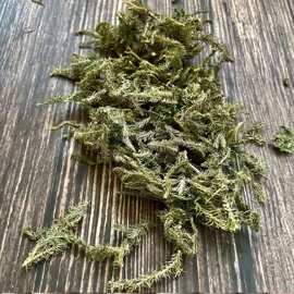 伸筋草 舒筋草 伸筋藤各种中药材货源充足量大从优
