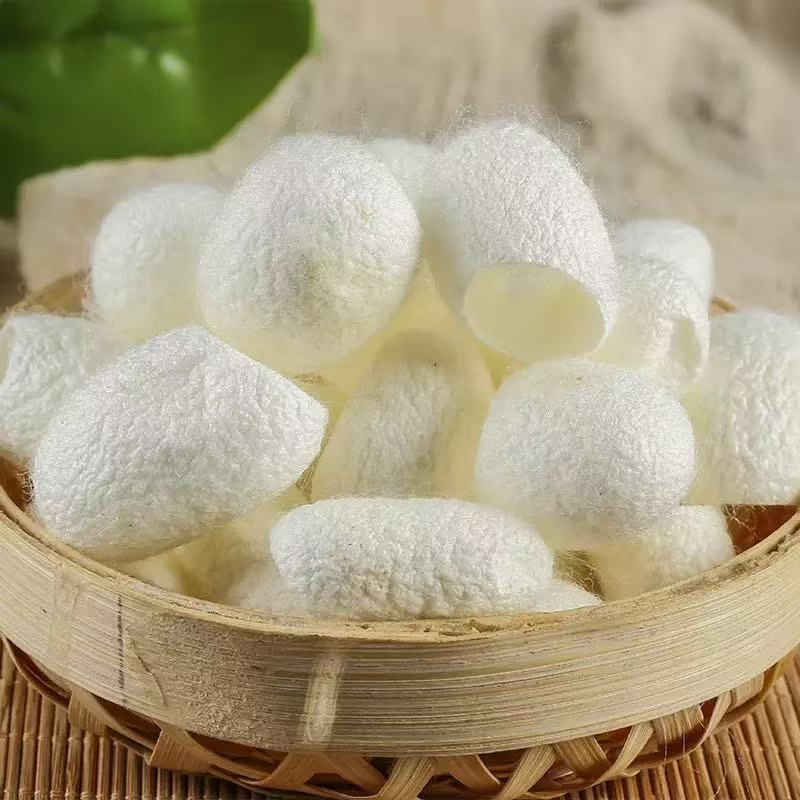 Silkworm Cocoon Shell (Bombyx mori) — Dried TCM Herb, Clean Unsulfured, 500g key features