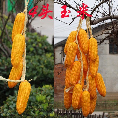 ③ⓠ❀➤✘ㄌ゠大玉米4头一串◄