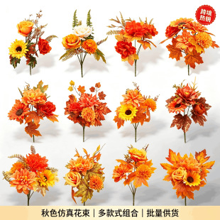�S�չ�������~���� ����ҾӔ[���S�ռ��ж�����ɫ�b�����~