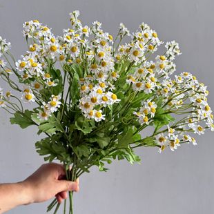 ��Ʒ�|�L֦��ʾ�С�r���b��滨�����[�O�廨��ˇ�[���ٻ�����