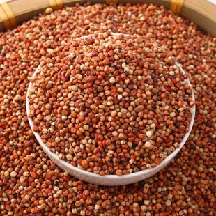 ������؛�t������Ƥ����ᄾ�ᄴ�ԭ�ϼt����������һ�����l