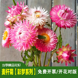 ��Ʒ�����շN�ӳ�ɫ���U��Ϟ�մ�ջ��N���׻��̨�҃����Կɸɻ�