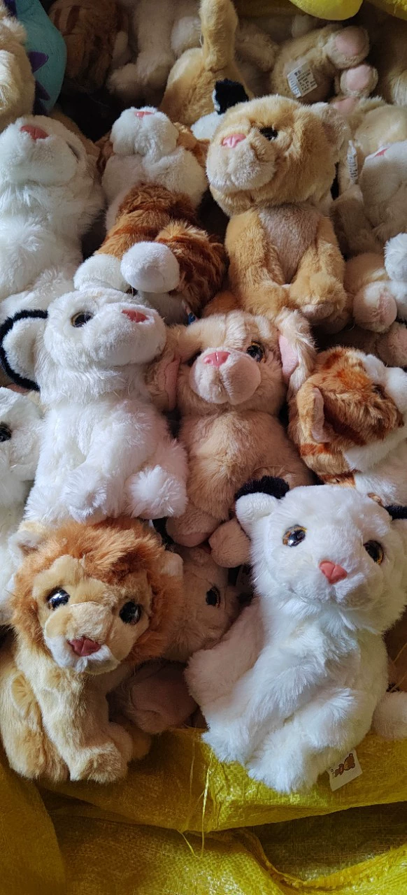 Plush animal model, toy