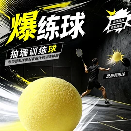羽毛球拍;腿部训练器/滑行垫;羽毛球