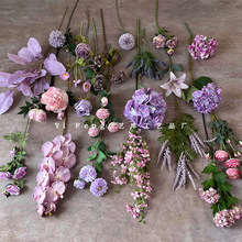 ɫϵ滨ٻsҾӔ[ŻcӰ巿ܛbb컨