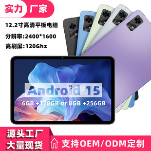 �¿����12.2��ƽ����X2.4K������120GHZ��ˢ�ֱ��ʰ�׿15ƽ��