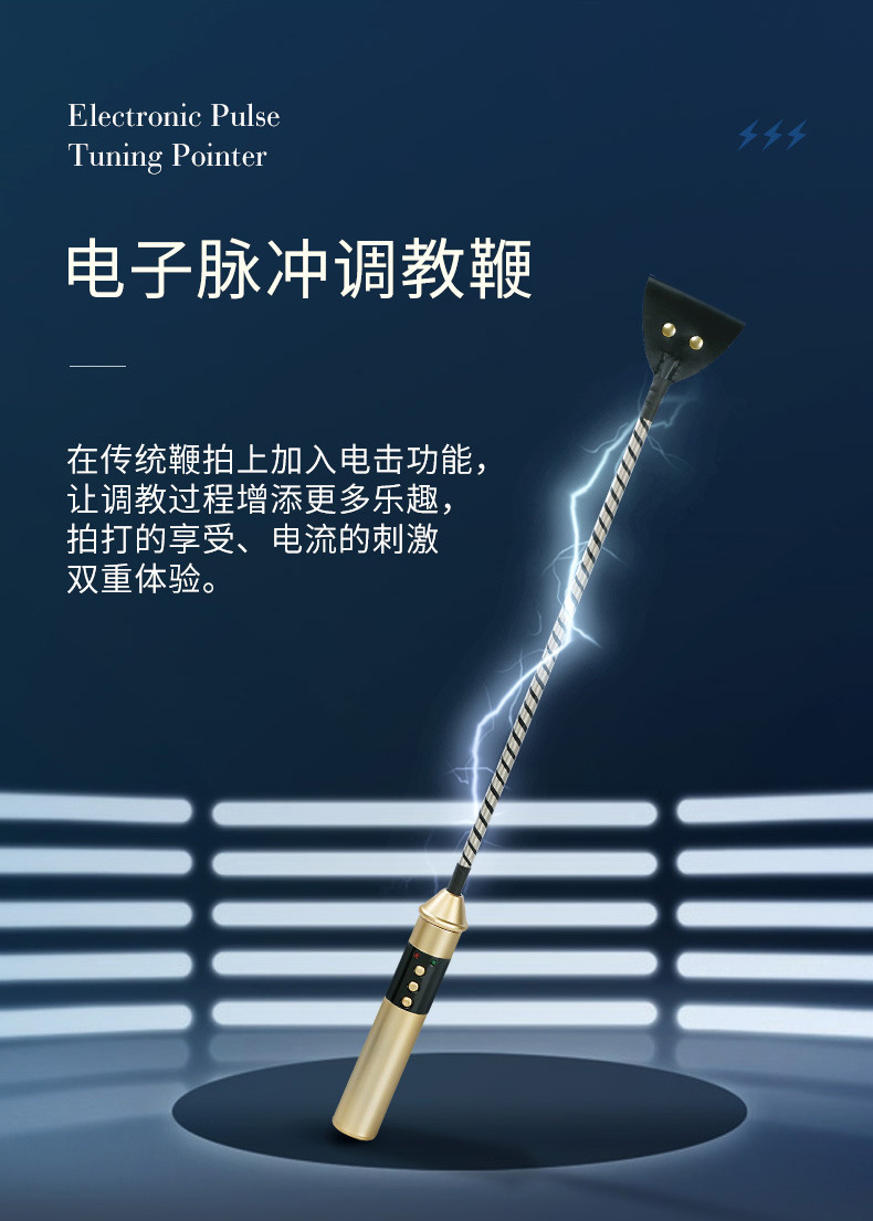 电棍电鞭详情_05.jpg