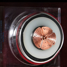 �X��|���y�X�o���Xо�����|-66kV