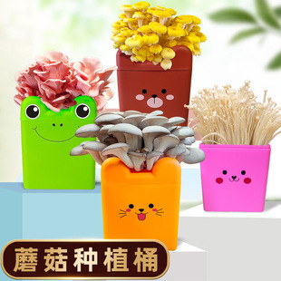 Mushroom Planting Bag Edible Mushroom Oyster Mushroom Stick Bag Home Planting Gift with Pot Balcony DIY Barrel Cartoon Style