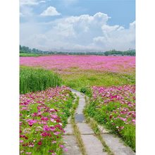 ˹ջNӸɣNļN_׻ͥԺ߲ҰM