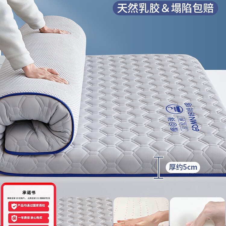 乳胶记忆棉床垫家用卧室租房软垫180x200床褥垫学生宿舍单人5|undefined